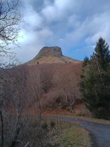 a mountain in the middle of a forest with a road at Ty-Bougnat in Murat-le-Quaire