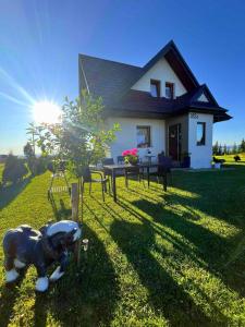 een standbeeld van een hond voor een huis bij Domek Śtyry Konty in Bańska Wyżna