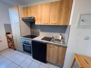 a small kitchen with a sink and a stove at L'appartement du Château in Pfastatt
