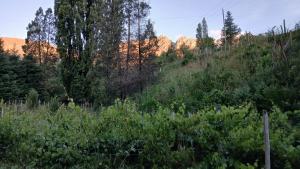 a view of a forest with mountains in the background at Finca Fraschetti in El Bolsón