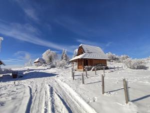 brvnare in trong mùa đông