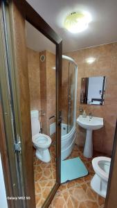 een badkamer met een toilet, een wastafel en een douche bij CASA RYANA SINAIA in Sinaia +74 foto's