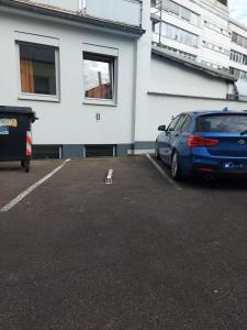 Billede fra billedgalleriet på Little Japan i Düsseldorf