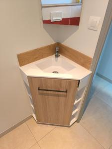 a bathroom with a sink and a mirror at Maison de Jules in Le Coteau +3 photos