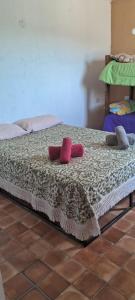 a bed with two pink pillows on top of it at Hostal El Portillo in Arroyo de Los Patos