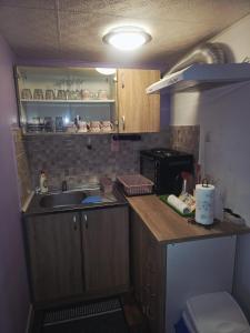 een kleine keuken met een spoelbak en een aanrecht bij Studio apartman Big Lili in Popovača