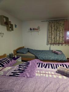 2 bedden in een kamer met paarse lakens bij Studio apartman Big Lili in Popovača
