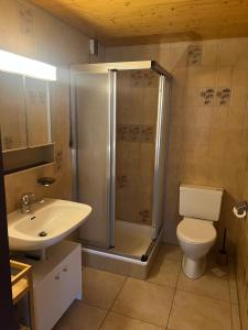 a bathroom with a shower and a toilet and a sink at Rückzugsort in Reichenbach