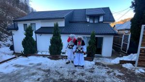 Casa Stana om vinteren + 6 billeder