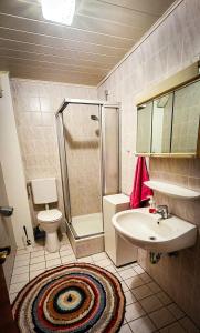 een badkamer met douche, wastafel en toilet bij Nertha, die Ferienwohnung in Uslar +40 foto's