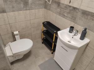 a bathroom with a white toilet and a sink at APARTMÁN KATKA Stošice - Liptovský Mikuláš, súkromue & pohodlie in Liptovský Mikuláš