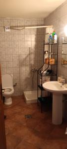 een badkamer met toilet en wastafel bij Arxontiko Manteio in Manteio