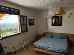 a bedroom with a bed and a large window at Villa CosaRoé-Vue Mer-Piscine-3 étoiles in Rivière-Salée