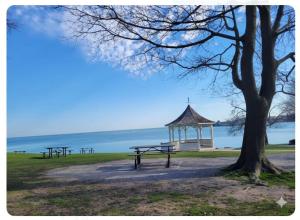 a gazebo and benches in a park with a tree at Charlotte Garden Bed and Breakfast in Niagara on the Lake