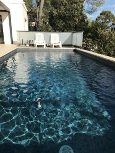 een zwembad met twee stoelen en een eend in het water bij Au Pied du Pic Saint Loup in Saint-Mathieu-de-Tréviers