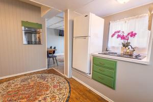 a kitchen with a refrigerator and a green cabinet at Rustic 2 Bedroom Boho Apartment in Laramie