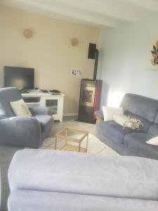 een woonkamer met twee blauwe banken en een tv bij Maison au calme Plessala Le Mené in Saint-Udy