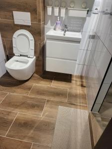 a bathroom with a toilet and a sink at Agrobiskupin Kaczmarek in Gąsawa