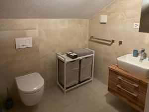 a bathroom with a toilet and a sink at Deine Auszeit mit Alpen- und Kanderblick in Kandergrund +31 photos