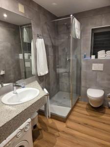 un bagno con doccia, lavandino e WC di Apartaments Turistics Pirineu a Soldeu