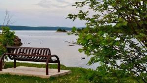 a bench sitting in front of a body of water at Riverview Suites in Clarenville