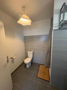 een badkamer met een toilet en een douche bij Maison entière avec jardin , Proche Bordeaux, Rocade et Arkéa Arena in Bouliac +17 foto's