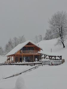 Cabana de sub mesteceni om vinteren