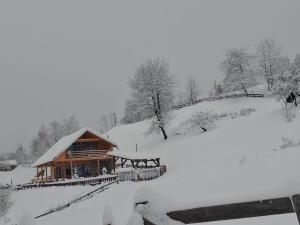a log cabin in the snow with a fence at Cabana de sub mesteceni in Mătişeşti