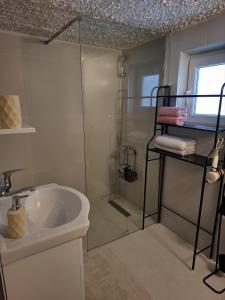 een badkamer met een glazen douche en een wastafel bij Fly & Stay Apartments in Laktaši