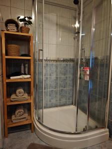 een douche met een glazen deur in een badkamer bij Bright & Spacious Apartment by the Sea, Free Parking, 10min to Airport, 12min to Ålesund in Ytterland +73 foto's