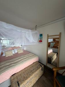 a bedroom with a bed with a mosquito net at Appart chambre et salon in Le Diamant +20 photos