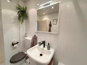 a bathroom with a sink and a toilet and a mirror at Schöne 3-Zimmer City-Wohnung in Neumünster +8 photos