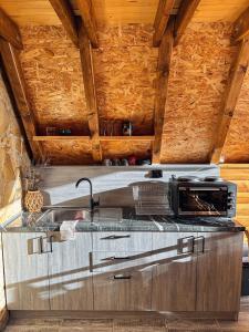 a kitchen with a sink and a microwave at Vikendica Pino in Han Pijesak +11 photos