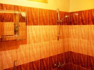 a bathroom with a shower and a mirror at Sandrose Baharia Hotel in Bawati