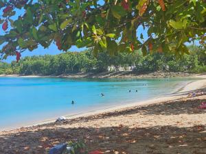 a group of people swimming in the water on a beach at Bien venu Miss' K in Anse-Bertrand +1 photo