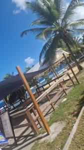 a group of picnic tables on the beach with a palm tree at Bien venu Miss' K in Anse-Bertrand
