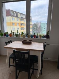 a table and chairs in front of a window with potted plants at Zelený byt u Bořího lesa in Břeclav