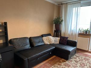 a black leather couch in a living room with a window at Zelený byt u Bořího lesa in Břeclav