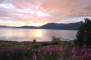 a sunset over a lake with purple flowers at Nordic Sauna Retreat in Tromsø +19 photos