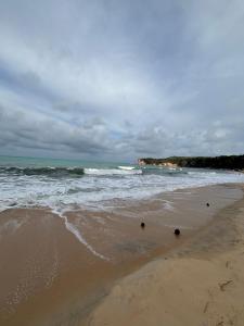 a sandy beach with waves in the ocean at Eco Camping Surf in Pipa