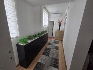 a hallway with white walls and plants on the walls at Relax 2 in Bukorovac
