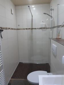 Et badeværelse på Ferienwohnungen Am alten Schafstall