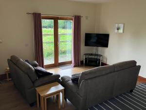 a living room with a couch and a flat screen tv at The Henhouse, Duffys of Ballybin, 4-star in The Crockan
