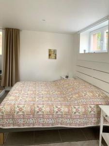 a bedroom with a large bed in a room at Gîte Théophile Fenal in Badonviller
