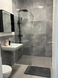 a bathroom with a shower with a sink and a toilet at Aura Apartment 2 Herne in Herne