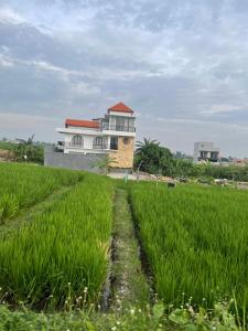 a house in the middle of a field of grass at Villa Elina 09 in Badung