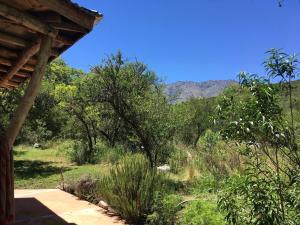 a view of a forest with mountains in the background at Cosmika, eco casa de montaña in Las Calles