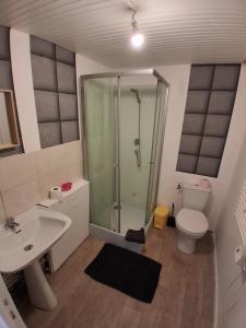 a bathroom with a shower and a toilet and a sink at Maison de l'harmonie à Limoges in Limoges +30 photos