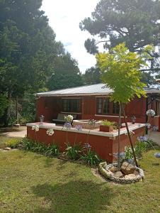a house with a small tree in the yard at la Casita del bosque in Villa Gesell