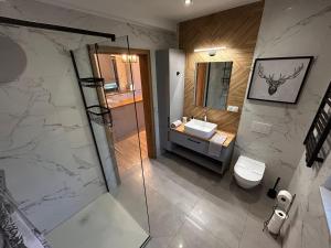 een badkamer met een douche, een toilet en een wastafel bij Domki Gorąca Bania in Gowidlino +48 foto's